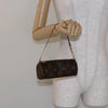 Louis Vuitton Papillon Pochette Monogram Canvas