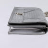 Secondhand Christian Dior Diorama Wallet on Chain Metallic Distressed