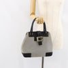 Secondhand Gucci Vintage Handbag Gray Canvas Bags