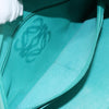 Secondhand Loewe Amazona Bag Turquoise Suede Bags