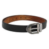 Secondhand Louis Vuitton Classique Belt Taiga