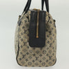 Secondhand Louis Vuitton Josephine Handbag Mini Lin