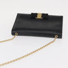 Salvatore Ferragamo Vala Chain Shoulder bag Leather