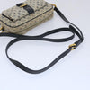 Louis Vuitton Juliette Crossbody Bag Mini Lin
