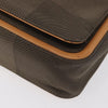 Louis Vuitton Terre Messenger Damier Geant Canvas