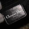 Christian Dior Vintage Lady Dior Printed Canvas