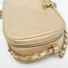 Chanel Coco Boy Camera Quilted Leather