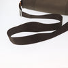 Louis Vuitton Terre Messenger Damier Geant Canvas