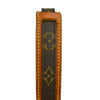 Louis Vuitton Amazone Monogram Canvas