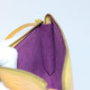 Louis Vuitton Pochette Accessoires Epi Leather