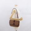 Christian Dior Vintage CD trotter Canvas