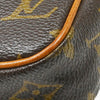 Louis Vuitton Danube Monogram Canvas