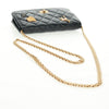 Chanel Lucky Charms Reissue 2.55 Flap Leather