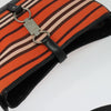Burberry Blue Label Canvas