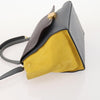 Celine Tricolor Trapeze Leather