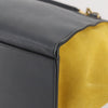 Celine Tricolor Trapeze Leather