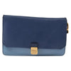 Miu Miu Shoulder Leather