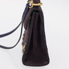 Celine Handbag Suede