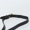 Celine Horse Carriage Leather