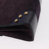 Celine Handbag Suede