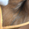 Louis Vuitton Speedy Monogram Canvas
