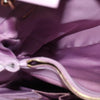 Salvatore Ferragamo Vara Bow Chain Tote Leather