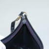 Christian Dior Vintage Trotter Canvas