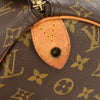 Louis Vuitton Speedy Monogram Canvas