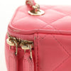 Chanel Classic Vanity Case with Chain Quilted Lambskin