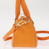Louis Vuitton Danura Epi